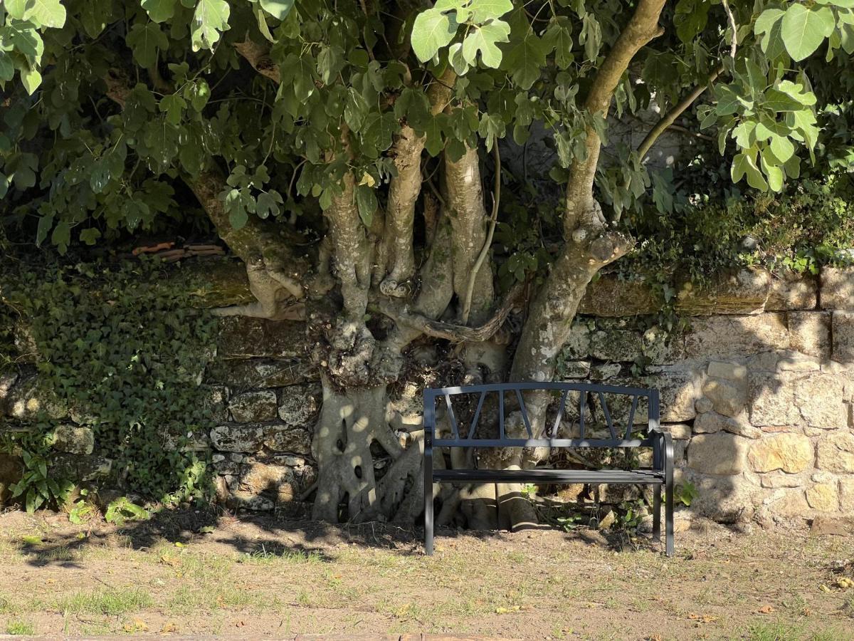 Gite Avec Piscine, Chateau De Lescours, St-Emilion Saint-Sulpice-de-Faleyrens Exteriör bild